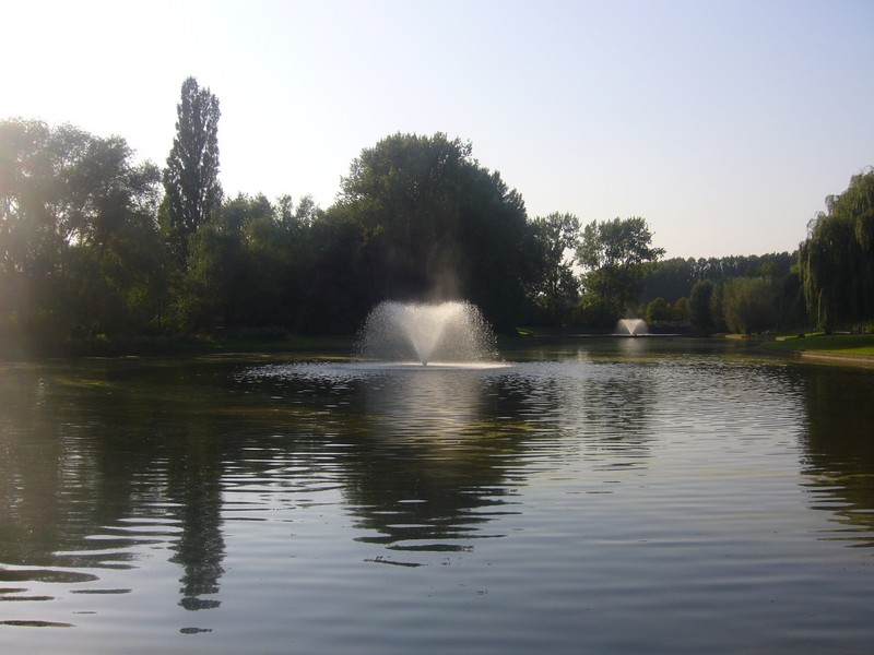 P1010712.JPG