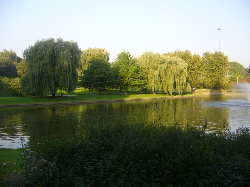 P1010771.JPG