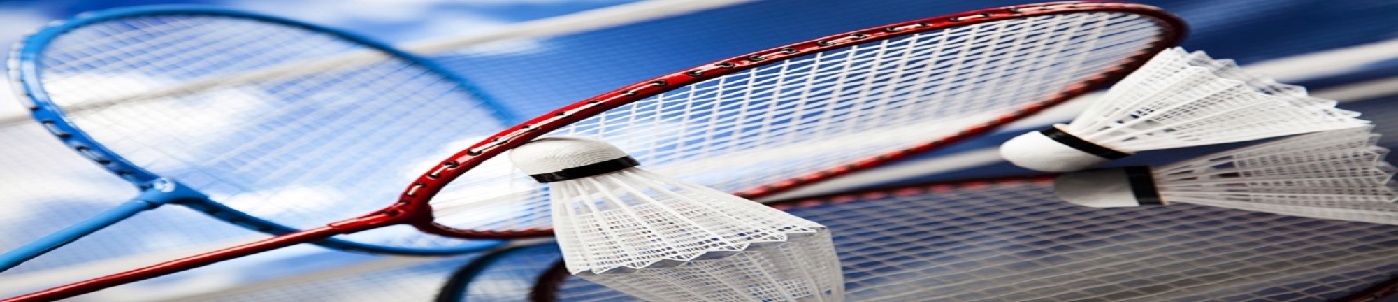 BADMINTON